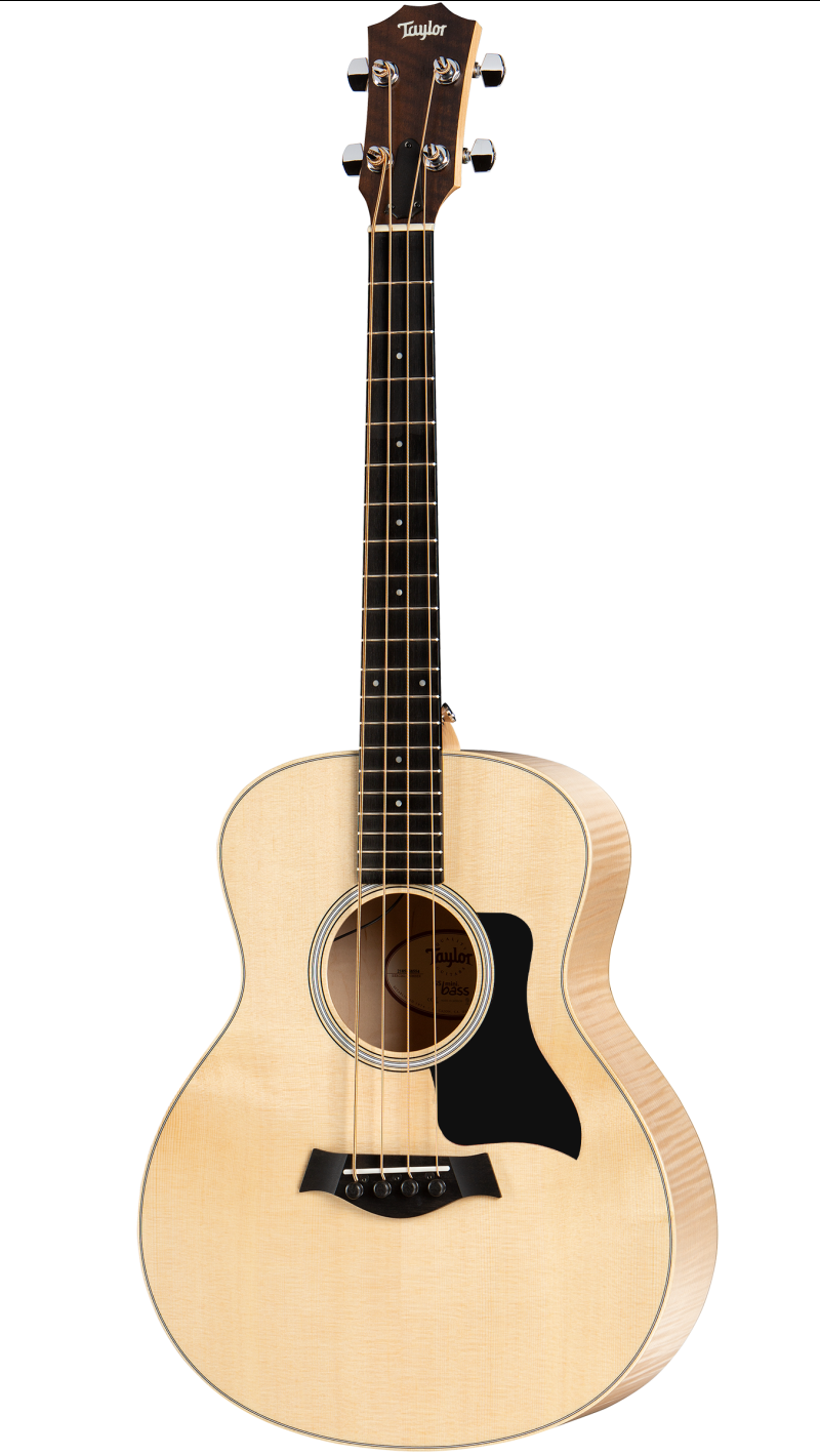 taylor acoustic electric bass