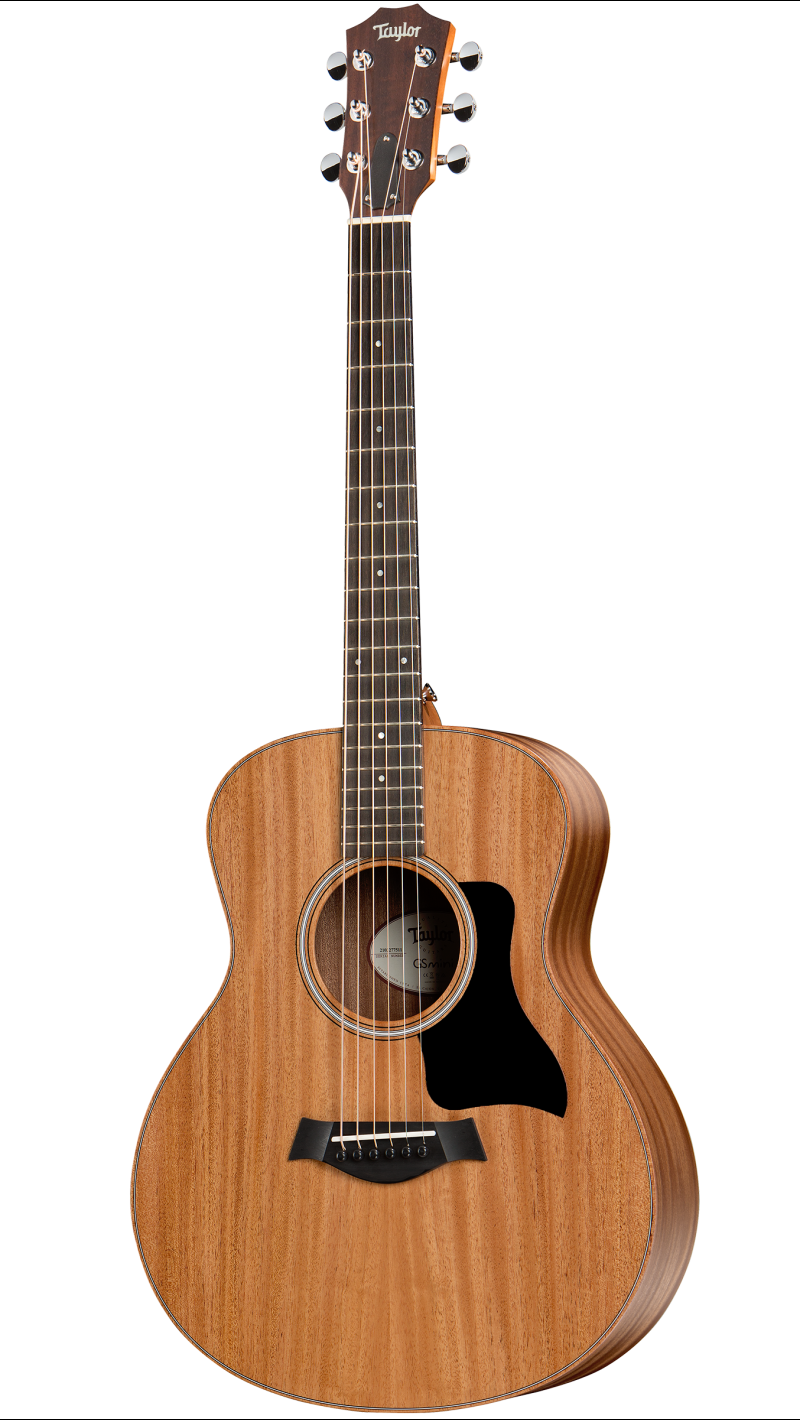 best taylor gs mini