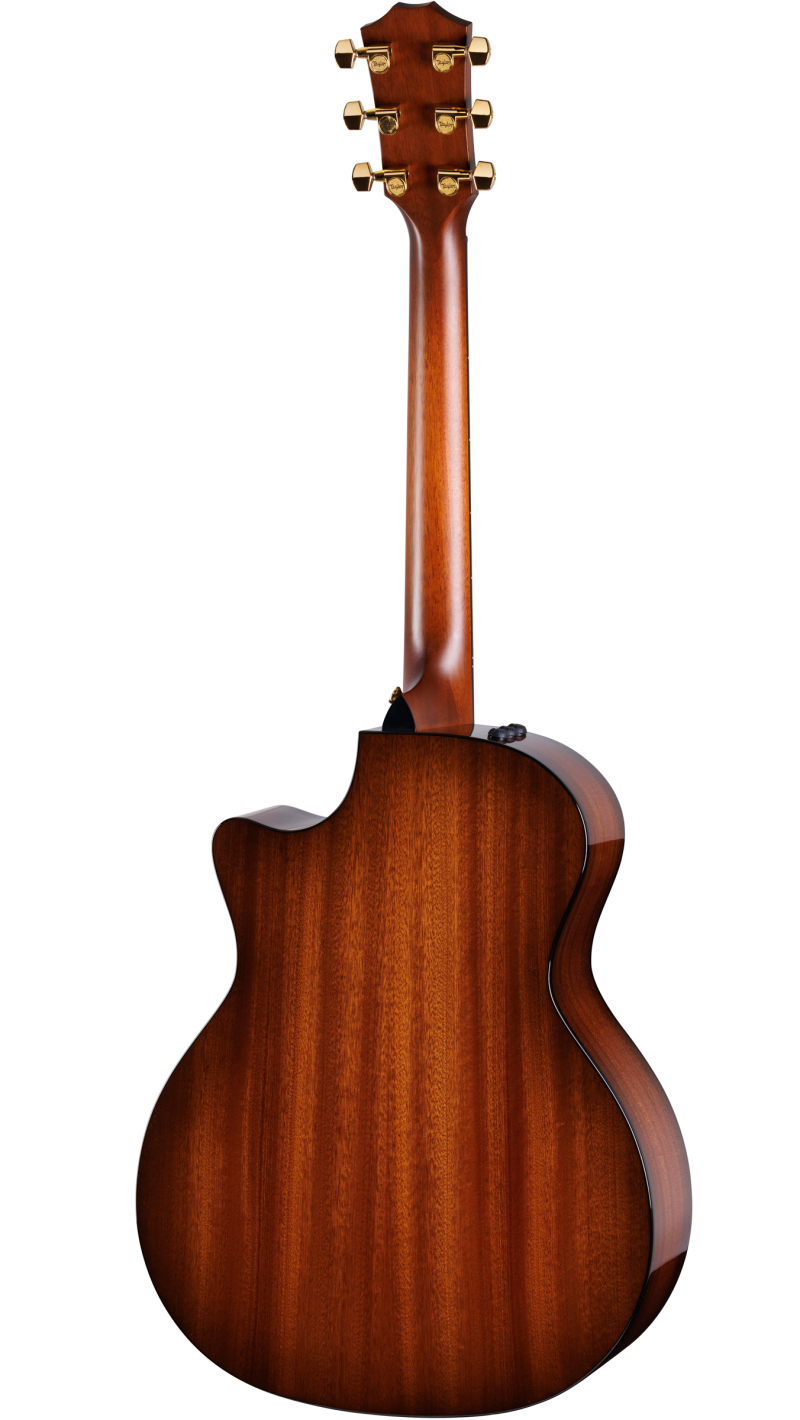 50th Anniversary 314ce LTD | Taylor Guitars