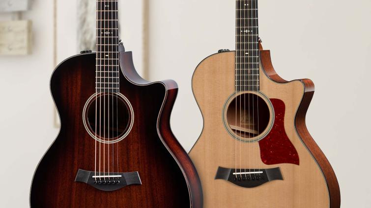 taylor 500 series 12 string