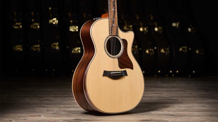 taylor 800 deluxe