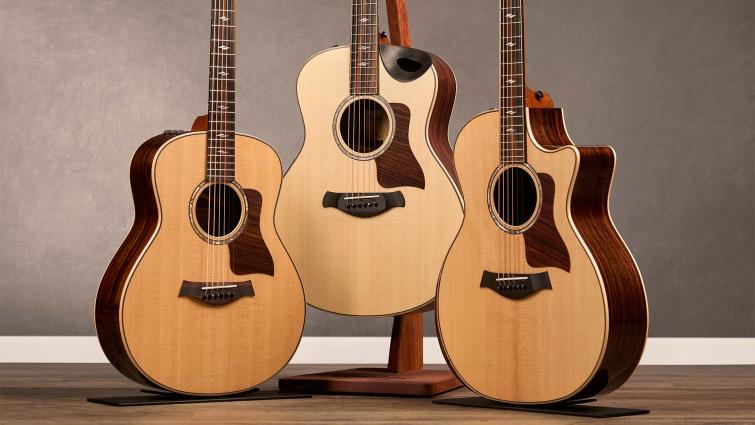 Best acoustic guitar store under 800