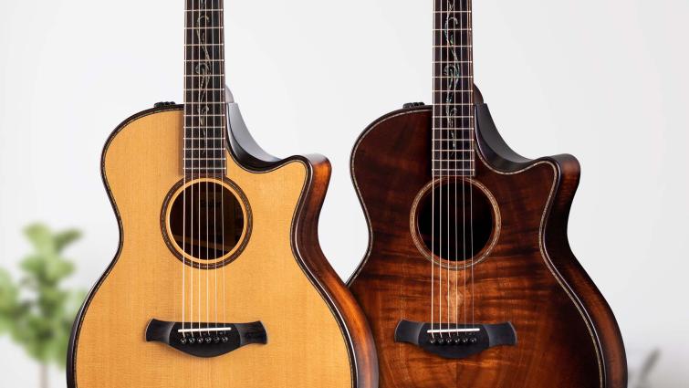 taylor acoustic koa