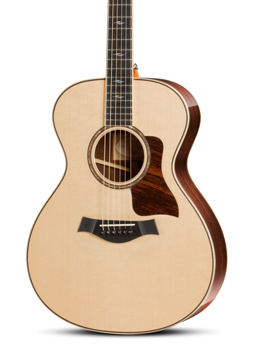 concert acoustic guitar