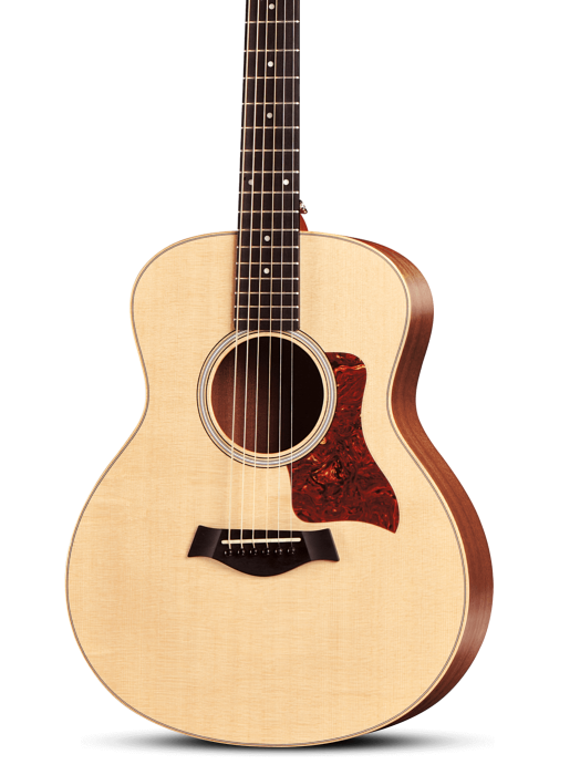 taylor gs mini length