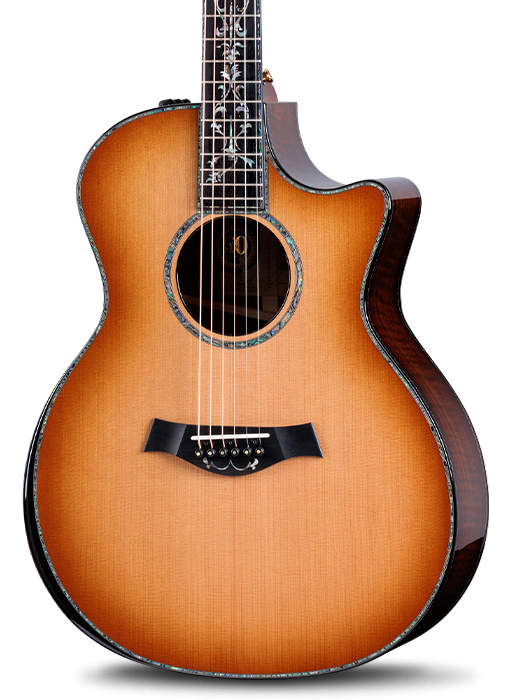50th Anniversary Collection Acoustic Guitar | Taylor Guitars