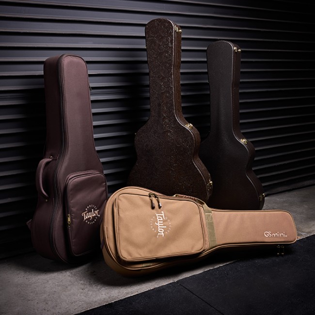 Cases & Gig Bags