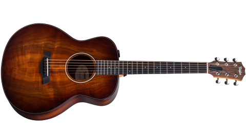 taylor gs mini cutaway