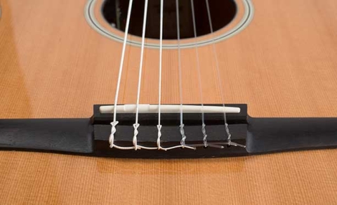 nylon string bridge