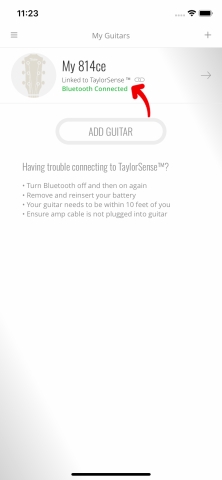 TG TaylorSense AddGuitar Step10