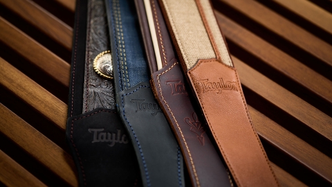 Cases & Gig Bags for Guitars | Taylor Guitars