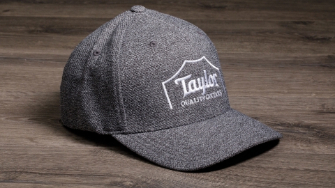 Taylor guitar hot sale trucker hat