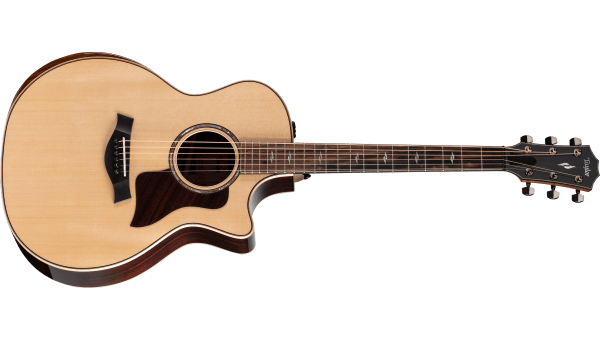 taylor guitar acoustic