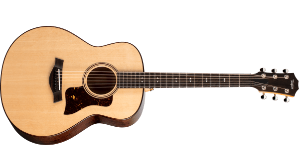 taylor guitar sale $99