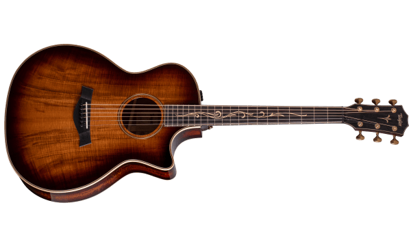 taylor acoustic guitar