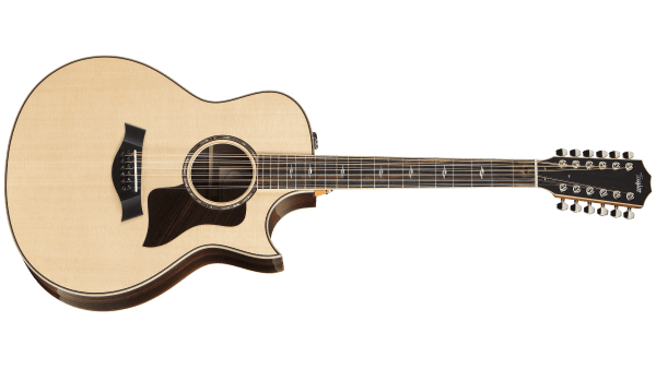 walden 12 string guitar