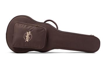 taylor guitar case