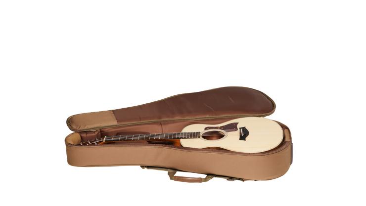 taylor gs mini hard shell case