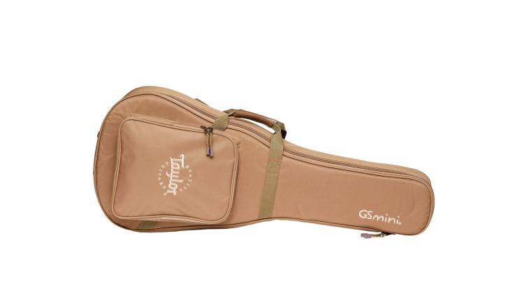 taylor gs mini soft case