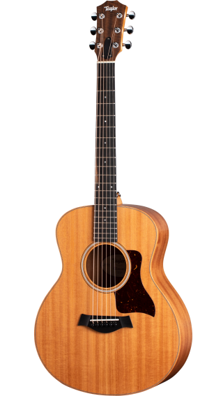 taylor gs mini series