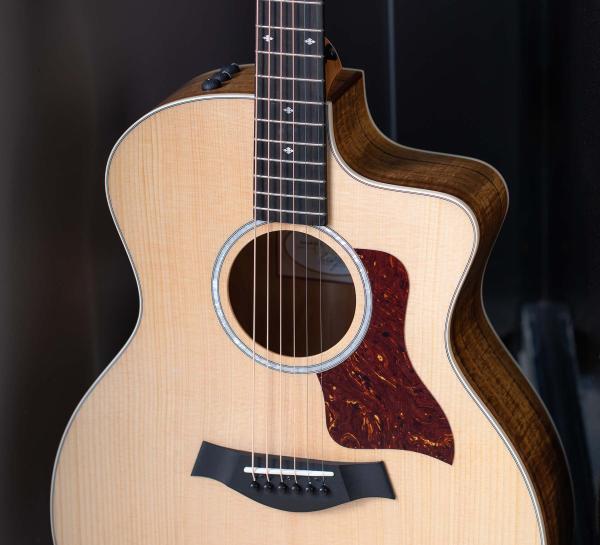 200 Series Guitars | Taylor Guitars