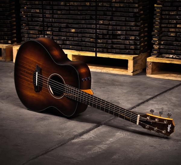 GS Mini Series Guitars | Taylor Guitars