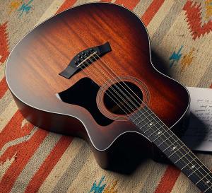 taylor 300 series