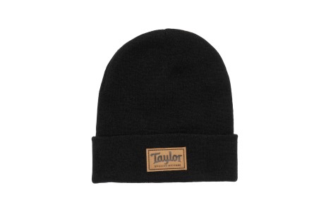 Taylor guitar sale hat