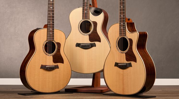 Best taylor online guitar for beginners